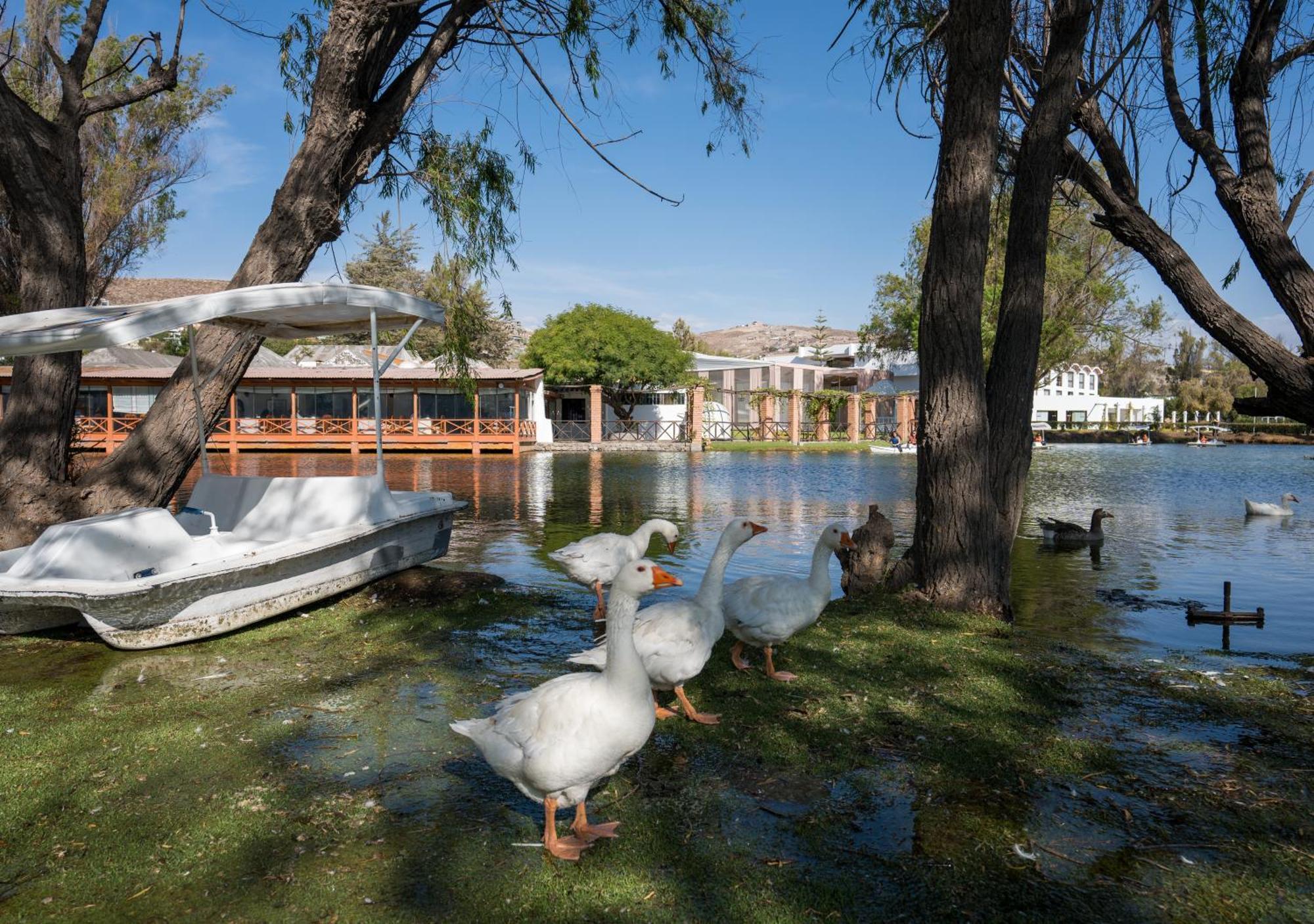 Bth Hotel Arequipa Lake Characato Exterior photo